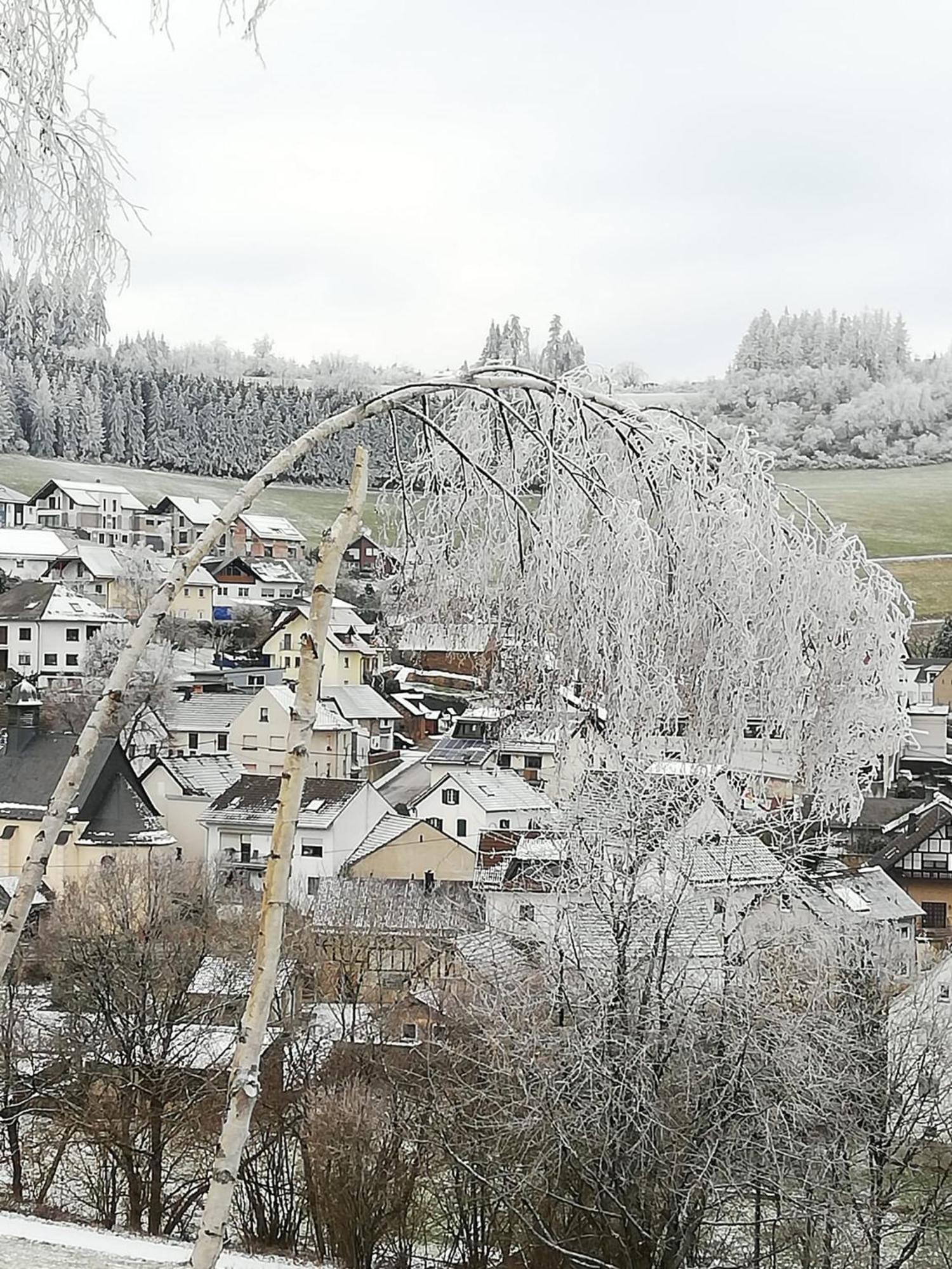 Am Lindenbaum, Ferienwohnung In Siebenbach Am Nuerburgring Kültér fotó