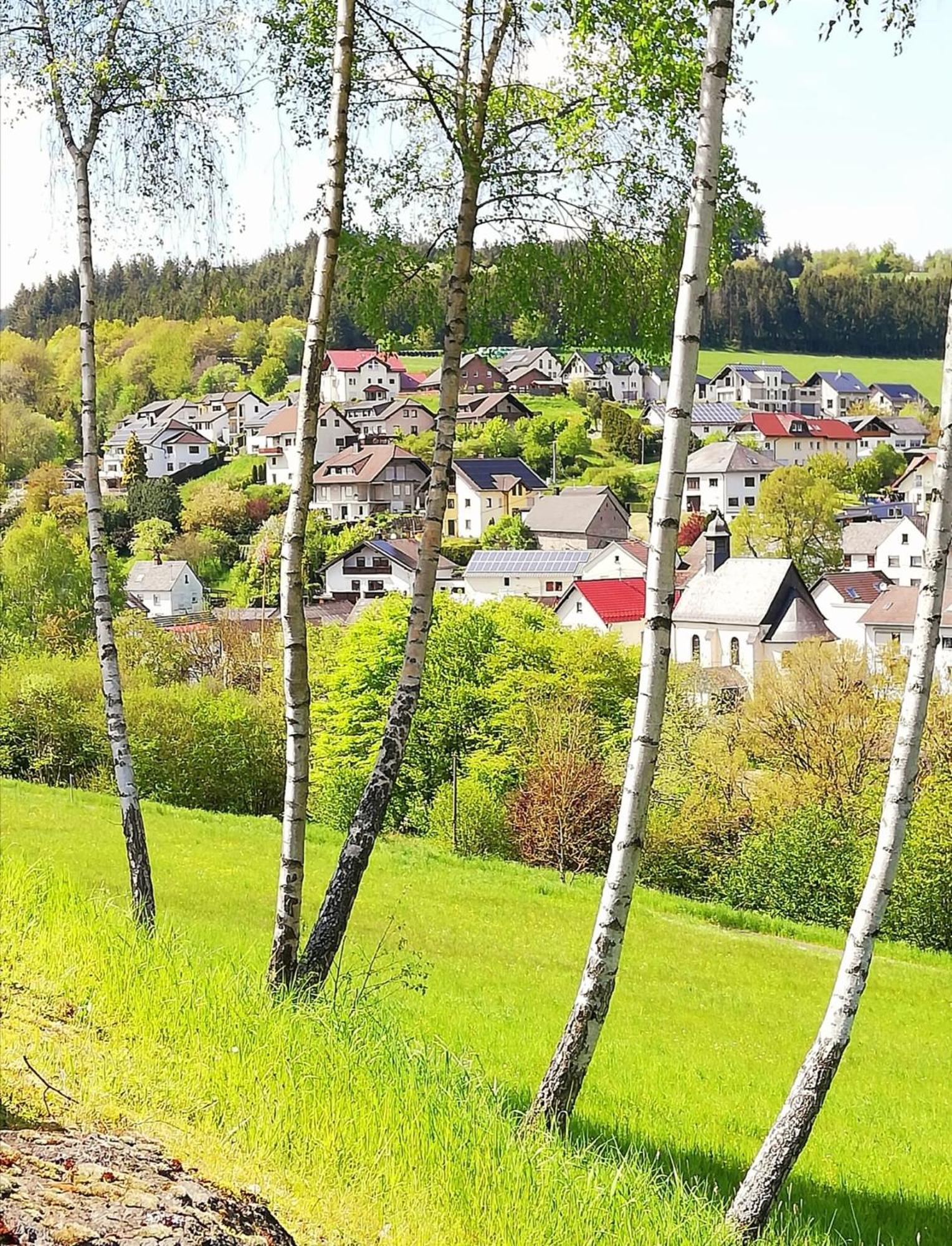 Am Lindenbaum, Ferienwohnung In Siebenbach Am Nuerburgring Kültér fotó