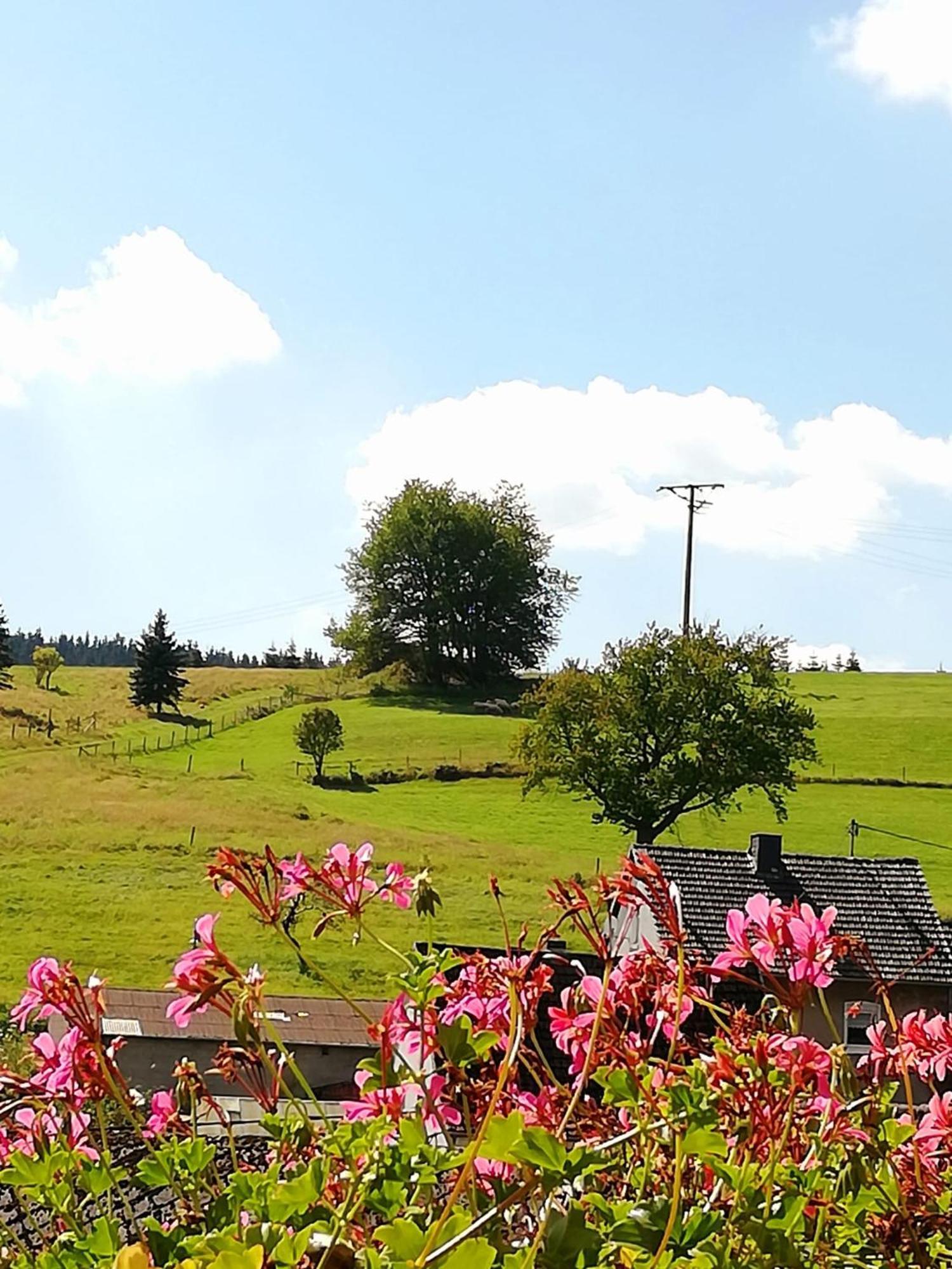 Am Lindenbaum, Ferienwohnung In Siebenbach Am Nuerburgring Kültér fotó